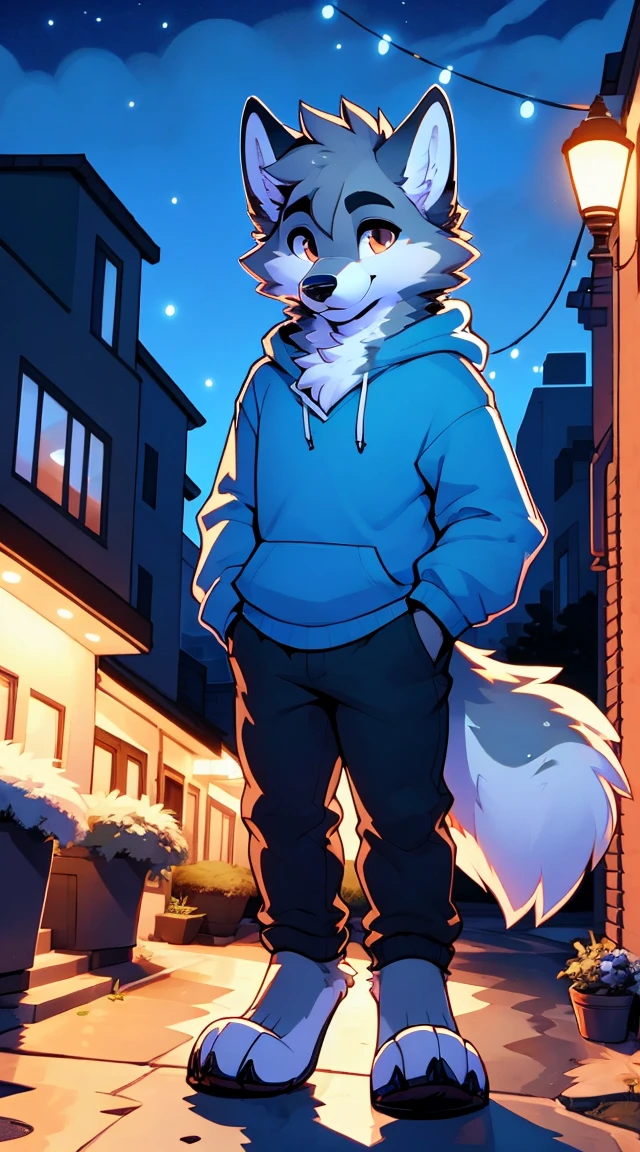 a full body, anthropomorphic brown wolf ??? wearing a blue hoodie, pants, wolf face, cute face, glossy fur, big fluffy neckfur, posing for a picture in a hill at night with a city in the distance