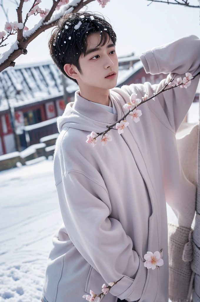 A boy like a plum blossom in the snow