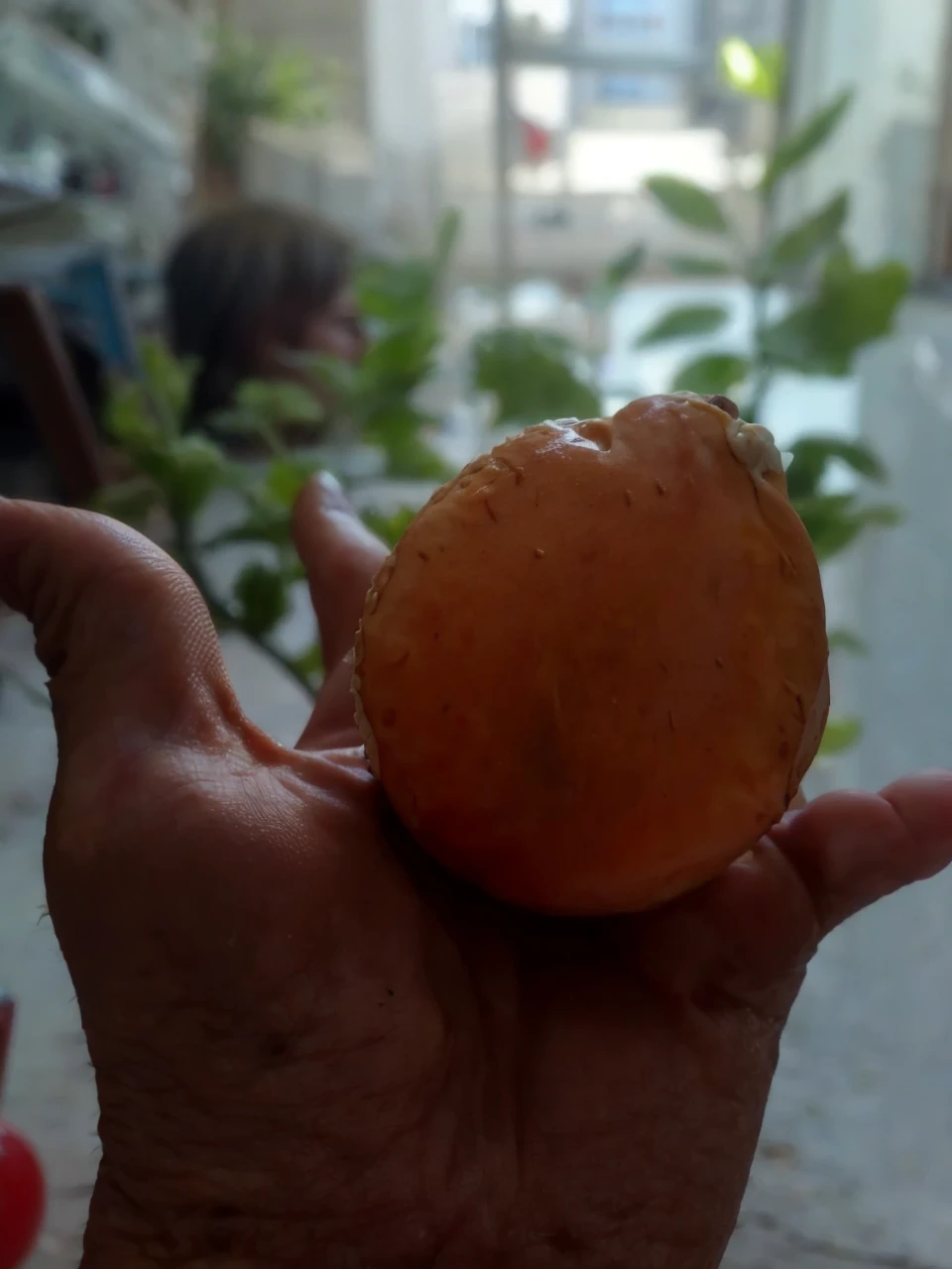 A burger in hand 