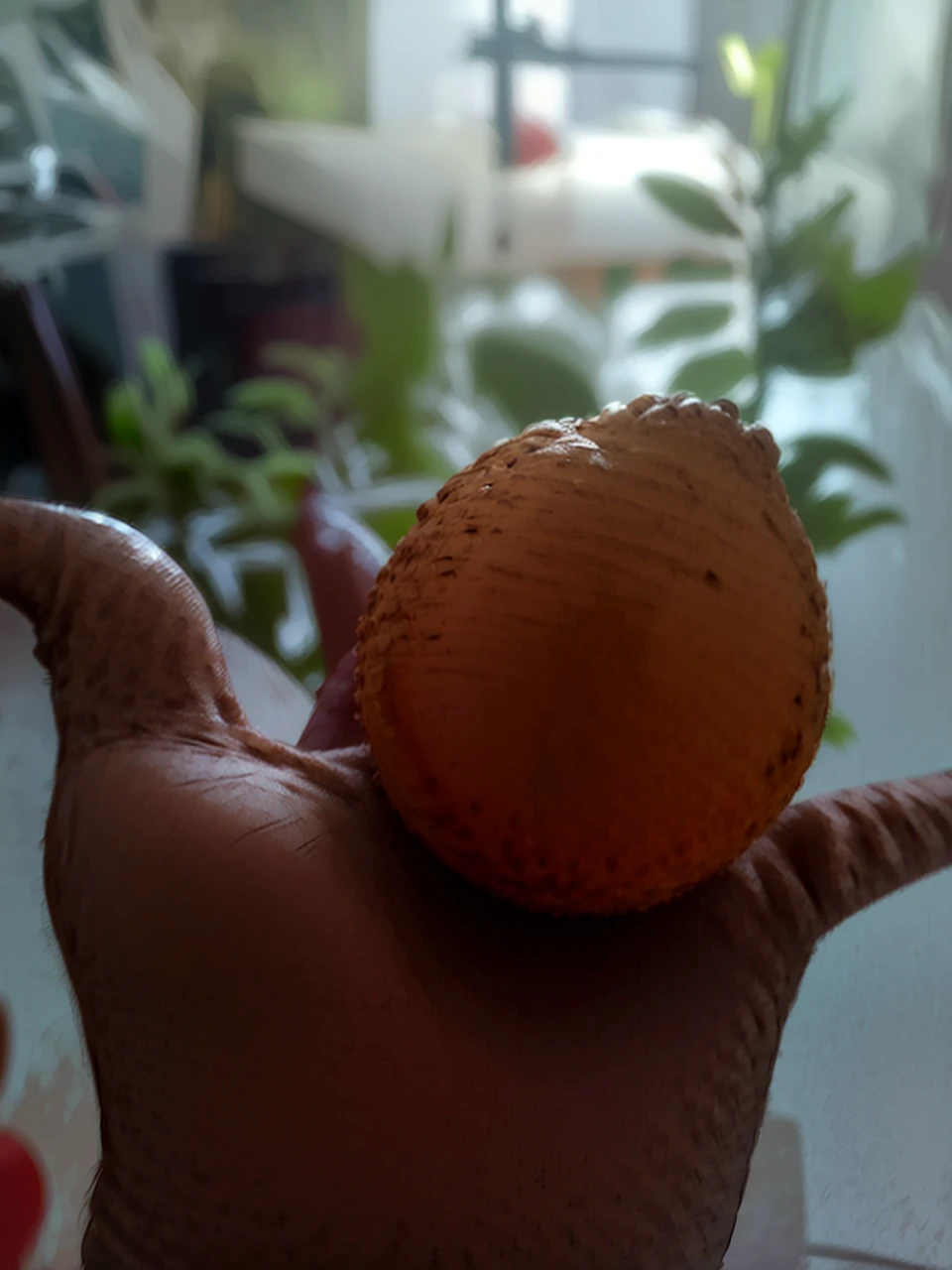 A burger in hand 
