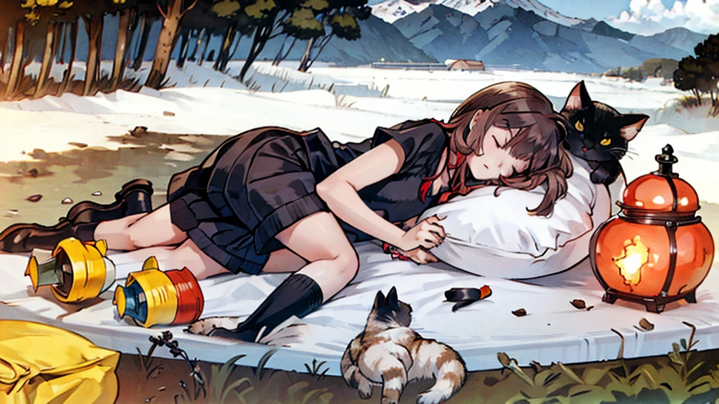 The lazy cat sleeps on the bed of the camping car in the snowy mountains.