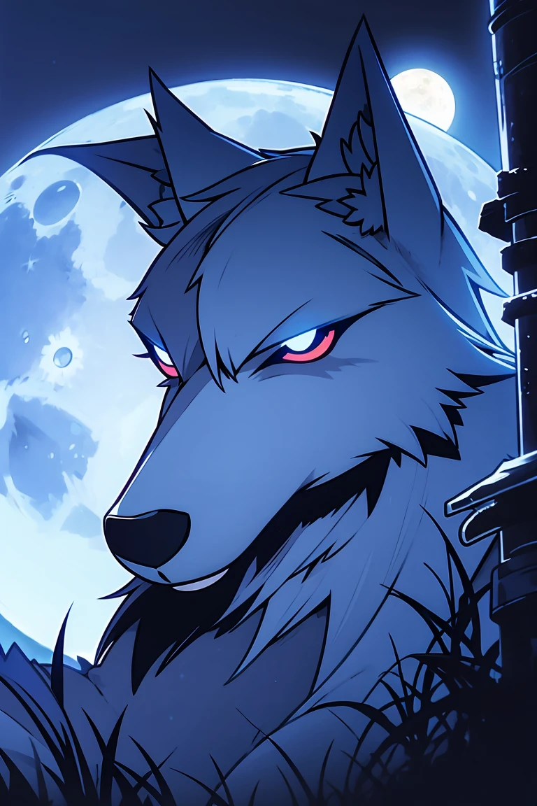 a wolf, in the moonlight