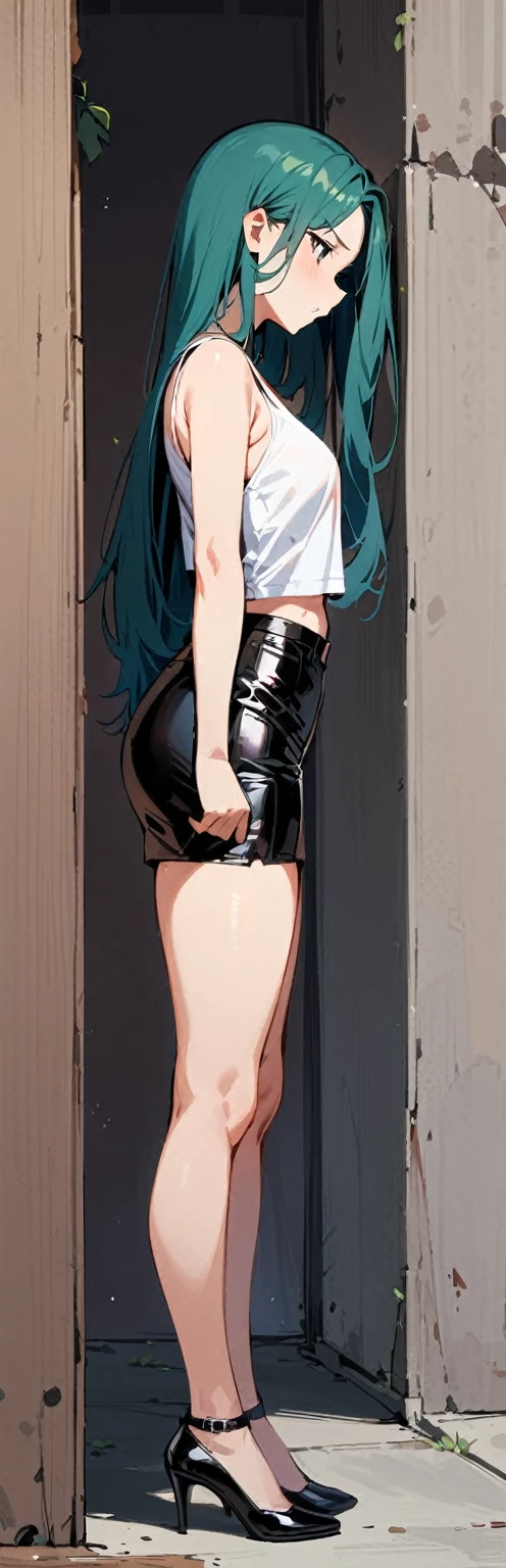 (masterpiece, best quality:1.2), 1 woman, alone,standing_divided,
long hair, white sleeveless tank top,Latex miniskirt, pussy