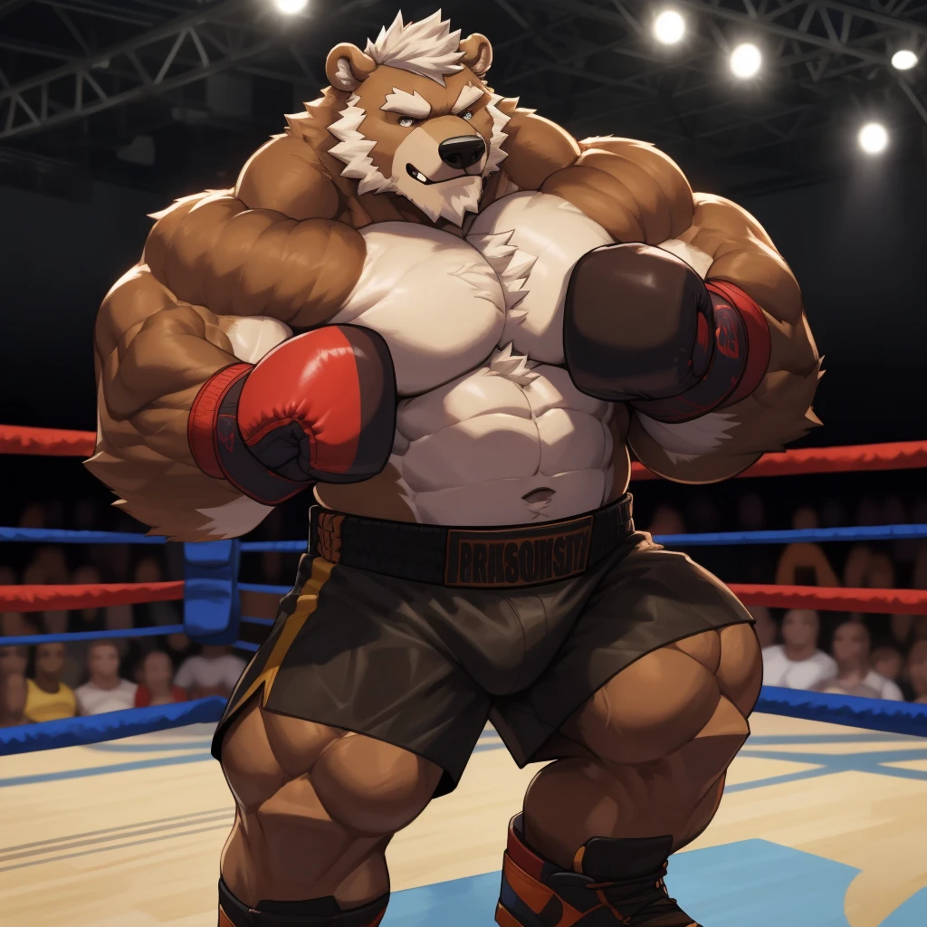 solo, 1boy, Huge Muscular Old Grizzly Bear wearing boxing belt , pectoral, thick arms, brown fur, huge pectoral, wide pectoral, short white hair, short pants and shirtless, bearded, gym boxing ring background, masterpiece, semirealistic:1.2, high detailed, 8k, high resolution
