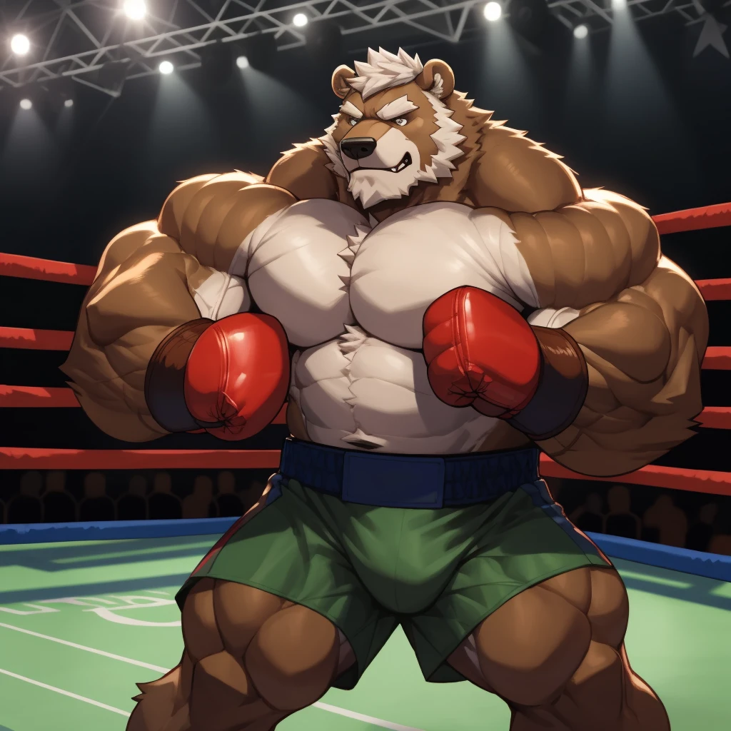 solo, 1boy, Huge Muscular Old Grizzly Bear wearing boxing belt , pectoral, thick arms, brown fur, huge pectoral, wide pectoral, short white hair, short pants and shirtless, bearded, gym boxing ring background, masterpiece, semirealistic:1.2, high detailed, 8k, high resolution, punching and blocking