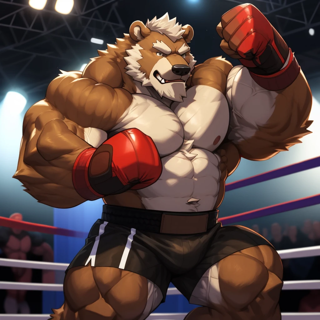 solo, 1boy, Huge Muscular Old Grizzly Bear wearing black boxing belt , pectoral, thick arms, brown fur, huge pectoral, wide pectoral, short white hair, short pants and shirtless, bearded, gym boxing ring background, masterpiece, semirealistic:1.2, high detailed, 8k, high resolution, punching and blocking