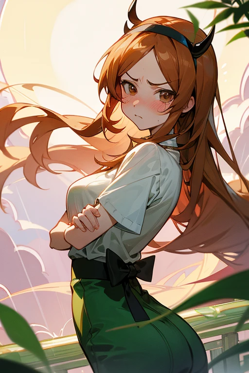anime style, super fine illustration, super detailed, dynamic angle,masterpiece,best quality,beautiful background,8K, On a summer night during Tanabata,rain,Bamboo leaf,Beautiful Moon,Break perfect face,perfect hands,perfect fingers,(brasched face:1.3),Orihime,Blushing,Tsundere,looking at the camera,Cross your arms,angry face,ass pov,Demon Headband