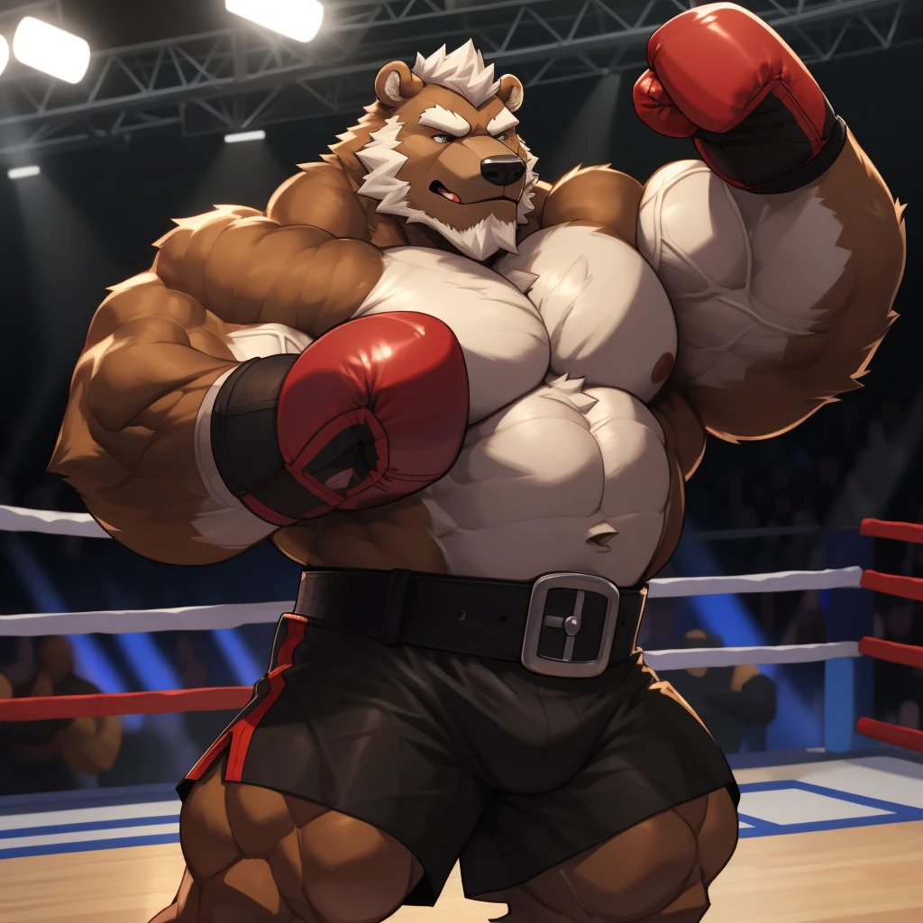 solo, 1boy, Huge Muscular Old Grizzly Bear wearing black boxing belt , black boxing gloves, huge pectoral, thick arms, brown fur, huge pectoral, wide pectoral, short white hair, short pants and shirtless, bearded, gym boxing ring background, masterpiece, semirealistic:1.2, high detailed, 8k, high resolution, punching and blocking