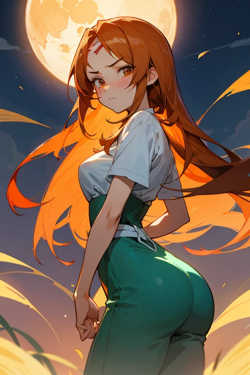 anime style, super fine illustration, super detailed, ,masterpiece,best quality,beautiful background,8K, On a summer night during Tanabata,Bamboo leaf,Beautiful Moon,Break perfect face,perfect hands,perfect fingers,(brasched face:1.3),Orihime,Blushing,Tsundere,looking at the camera,Cross your arms,angry face,ass pov,Orange Hair