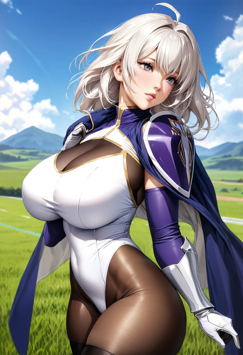 ((highest quality)), ((masterpiece)), ((hyperrealistic)), (detailed background), anime style, solo, from side, 1girl, ((curvy: 1.2)), kawaii, paladin, ((Lamé racing leotard)), ((Raglan sleeve catsuit leotard)), (shoulder armor), (armored dress), cloak de cour, gauntlet, gloves, white hair, ahoge, (Voluptuous huge breasts), see-through cleavage cutout, (zettai ryouiki black knee socks), (See-through pantyhose thighs), (groin), beautiful eyes, perfect face, Perfect hands, perfect fingers, Blue sky and grassland,