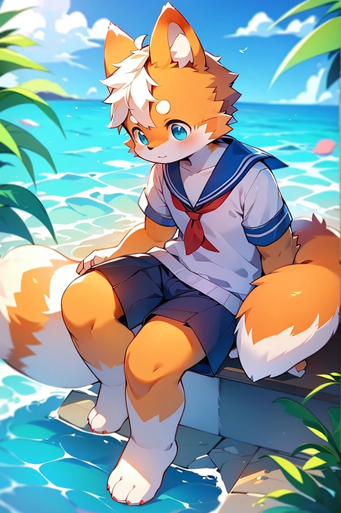 Male Red Panda, Ocean, Appeared wearing a sailor uniform! One in heat, Sitting,空を飛ぶ，青い光