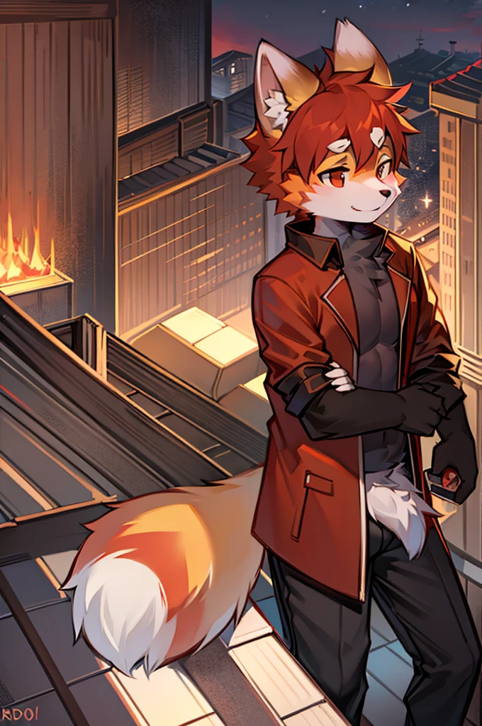 Male Red Panda,First of all, I have a rooftop, but I won't burn it.?