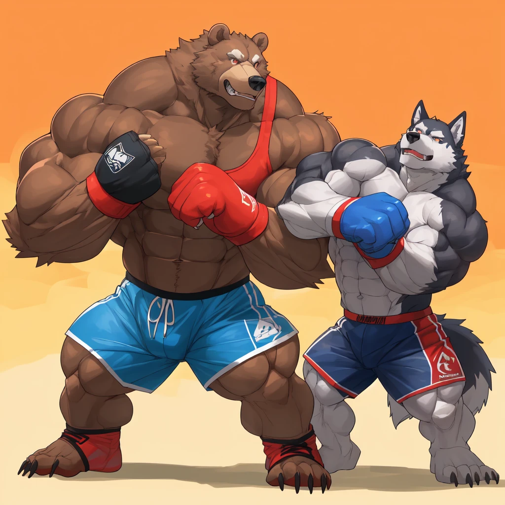 Huge muscular thick Grizzly Bear bodybuilder shirtless in blue MMA shorts, blue MMA gloves and blue foot wear, muscular Husky Dog bodybuilder shirtless in red MMA shorts, red MMA gloves and red foot wear, at the MMA tournament. MMA Grizzly bear vs MMA Huku challenger. Fighting match