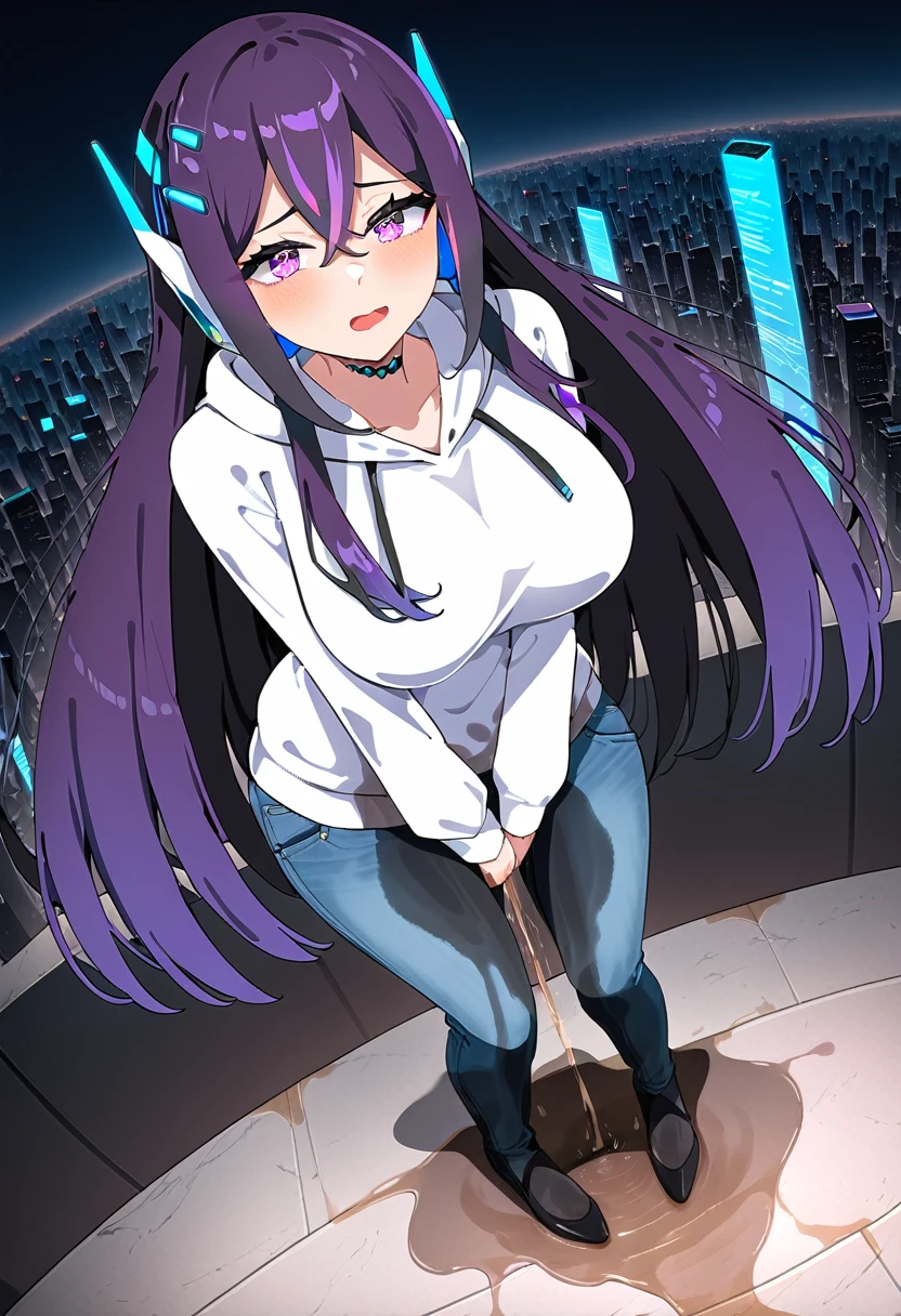 (masterpiece:1.37), best quality, (extremely detailed:1.37), woman, mature, adult, large breasts, very long hair, dark purple hair, purple eyes, (extremely detailed eyes:1.37), hoodie, jeans, desperation, (wetting self:2.0), standing, city, futuristic, neon lighting, high-tech, full body