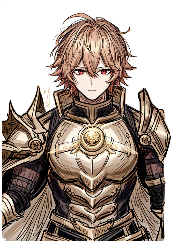 1boy, gold hair, golden fur, short hair,Red eyes,golden saint, epic armor, legendary weapon, handsome man, elegant clothes,holy knight, (high resolution, high detail, The best quality)