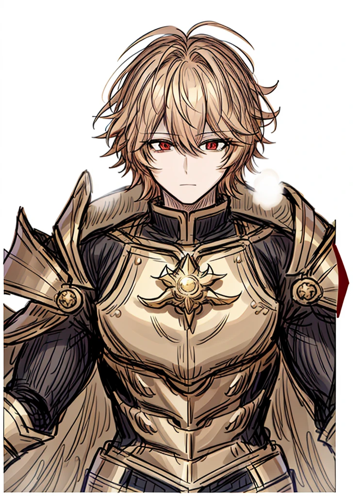 1boy, gold hair, golden fur, short hair,Red eyes,golden saint, epic armor, legendary weapon, handsome man, elegant clothes,holy knight, (high resolution, high detail, The best quality)