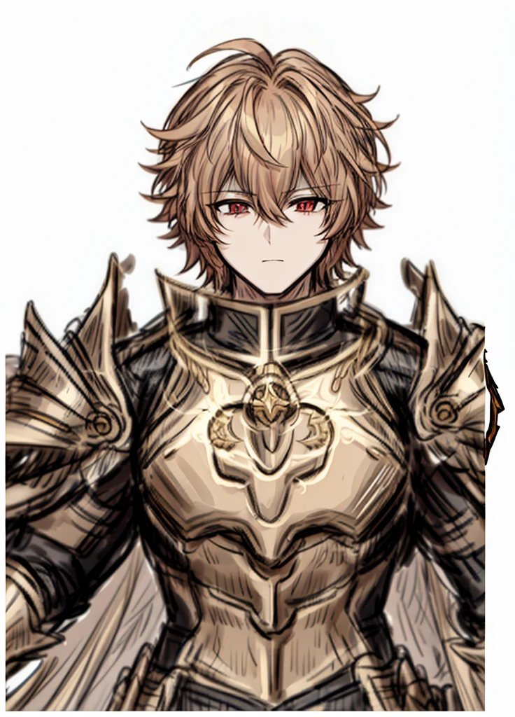 1boy, gold hair, golden fur, short hair,Red eyes,golden saint, epic armor, legendary weapon, handsome man, elegant clothes,holy knight, (high resolution, high detail, The best quality)