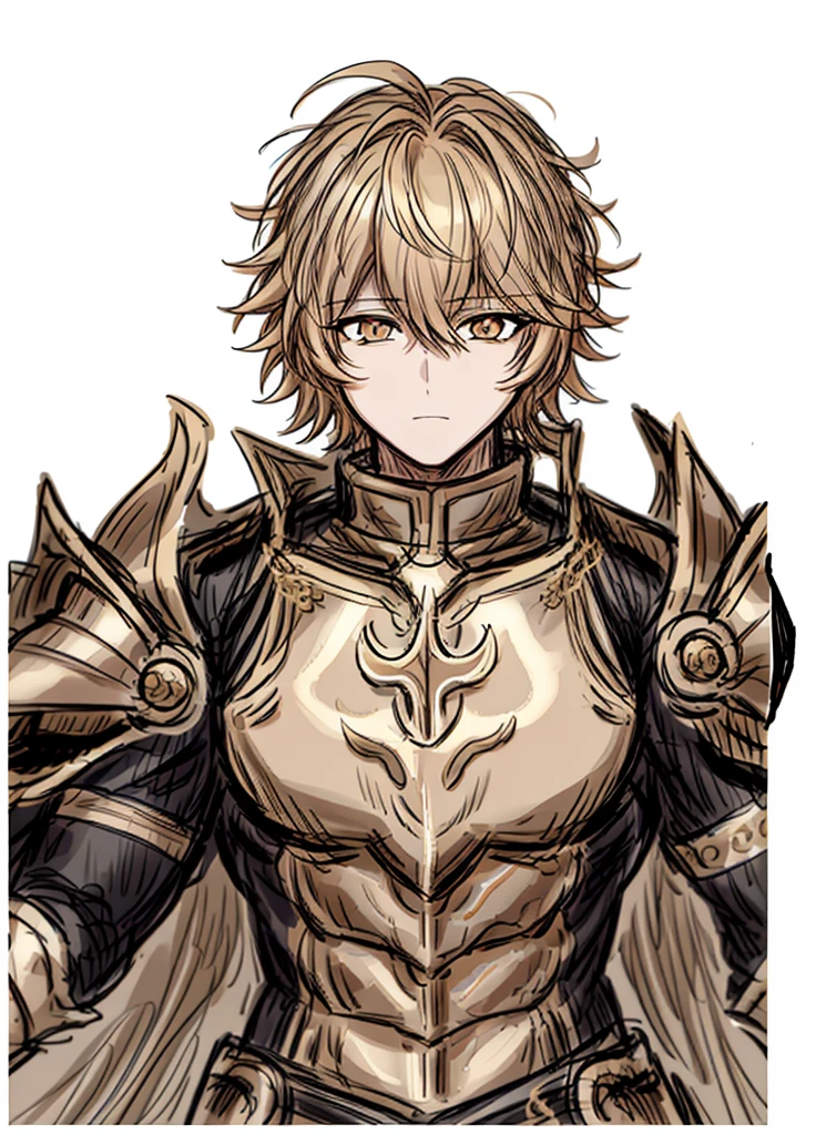 1boy, gold hair, golden fur, short hair,golden eyes,golden saint, epic armor, legendary weapon, handsome man, elegant clothes,holy knight, (high resolution, high detail, The best quality)