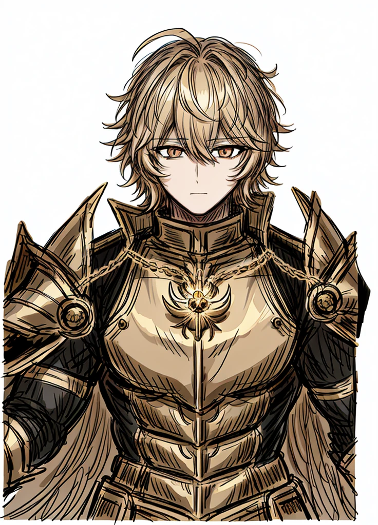 1boy, gold hair, golden fur, short hair,golden eyes,golden saint, epic armor, legendary weapon, handsome man, elegant clothes,holy knight, (high resolution, high detail, The best quality)