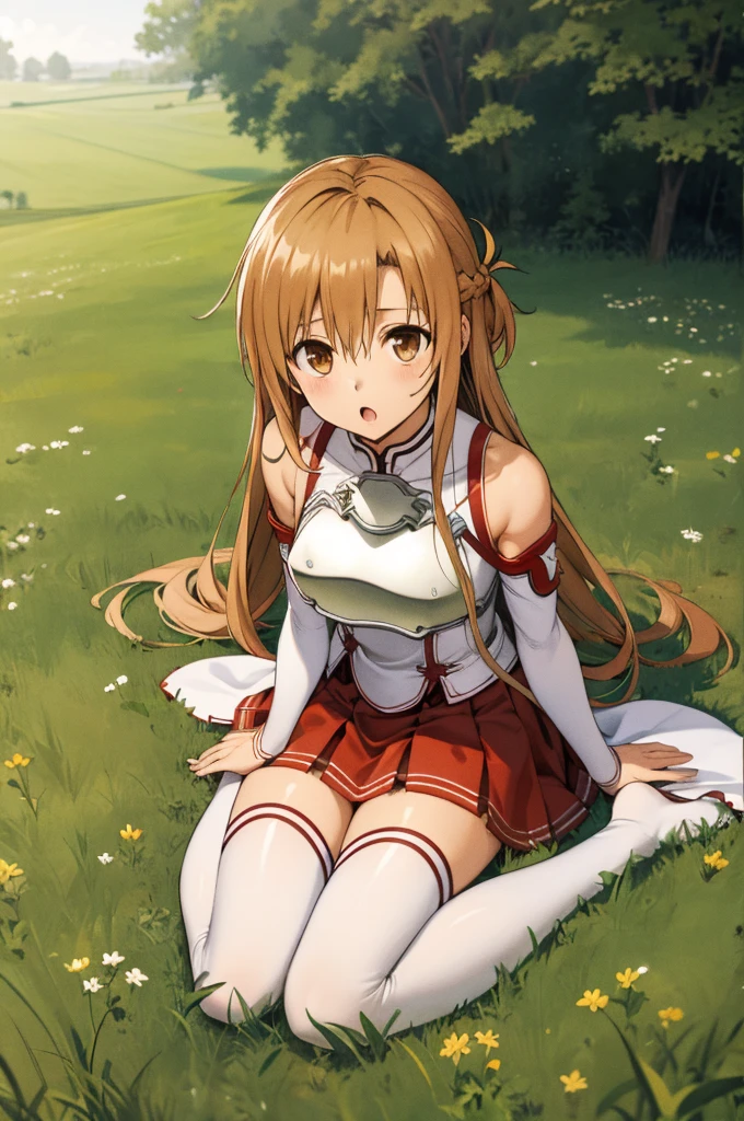 masterpiece, best quality, highres, aaasuna, long hair, brown hair, braid, brown eyes, bare shoulders, huge breasts, white sleeves, detached sleeves, red skirt, pleated skirt, white thighhighs, grass, field, wariza, :o