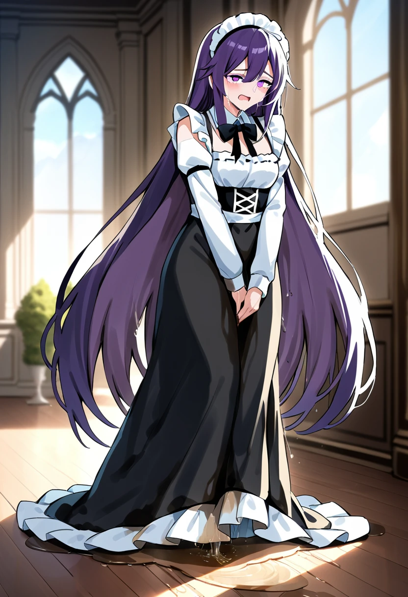 (masterpiece:1.37), best quality, (extremely detailed:1.37), woman, (very long hair:1.5), dark purple hair, purple eyes, (extremely detailed eyes:1.37), maid uniform, (long dress:1.5), desperation, (wetting self:2.0), standing, indoors, fantasy setting, manor, mansion