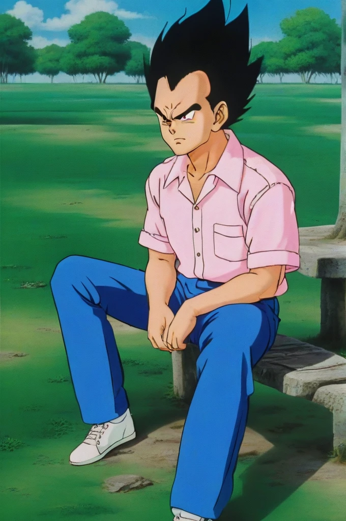 source_anime, score_9, score_8_up, score_7_up, anime screencap,8k, absurd res,
vegeta, solo, looking at viewer, shirt, black hair, 1boy, sitting, closed mouth, full body, male focus, outdoors, sky, shoes, green footwear, day, collared shirt, pants, cloud, black eyes, blue sky, frown, spiked hair, pink shirt, rock, white undershirt, yellow pants, arm on knee, v-shaped eyebrows, 1990s \(style\), retro artstyle, short sleeves