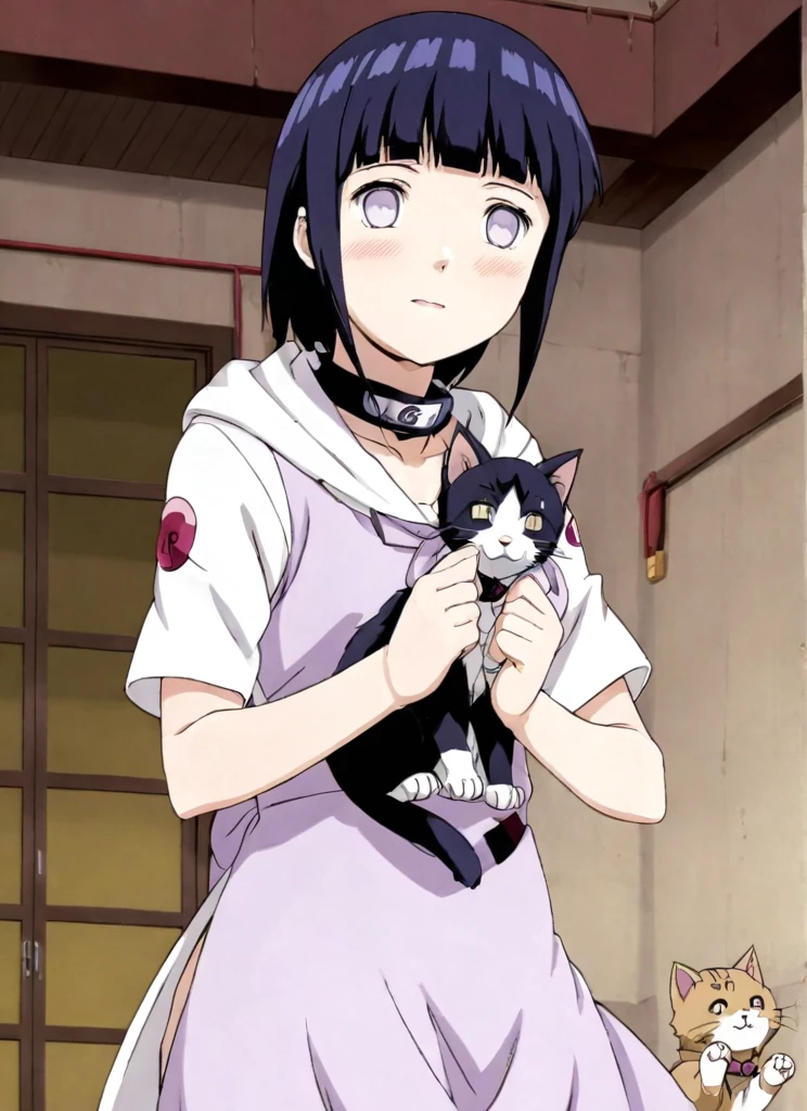 Hinata hiuga in a cute dress, with a kitten