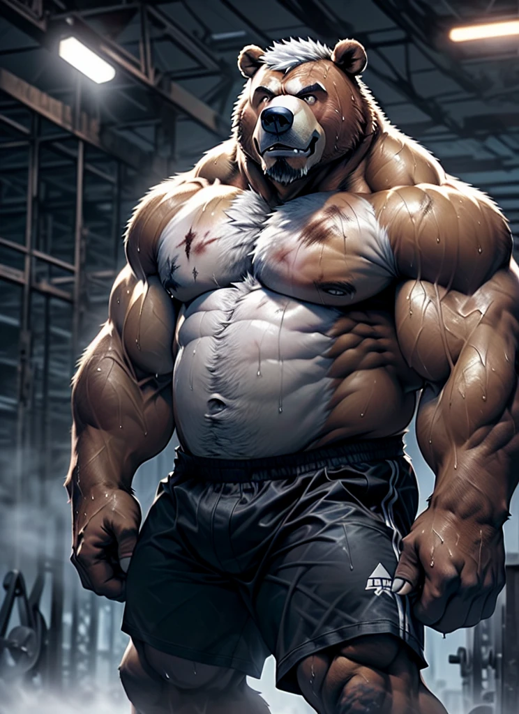 extremely detailed, detailed face, detailed eyes, detailed muscle, (view full body), ((1man)), (furry (beat)), (object (big muscular old bear man standing with face up looking beaten face expression behind the ring)), the bearis soldier and wearing boxing uniform, old bear (big muscular, big muscle, bodybuilder, facial hair, brown fur, beaded, white beard, shirtless and topless, battel scar face, short hair, white hair, strong character, strong muscle), (background ((heavy rain, fog, overcast lights, gray darkness, waster land, old gym, disty building))), (photography (50mm lens, cinematic, cinematic color)), by Pixelsketcher, by Bayard Wu, by Thomas Benjamin Kennington , by Einshelm, by Chunie,, (lin hu:1.1), (exhausted, sweat, bruised:1.4), in the boxing ring, boxing gloves, (beaten down, swollen cheek:1.4)