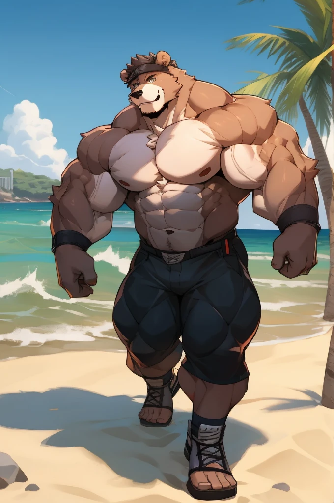 muscular strong bear in beach, only shots