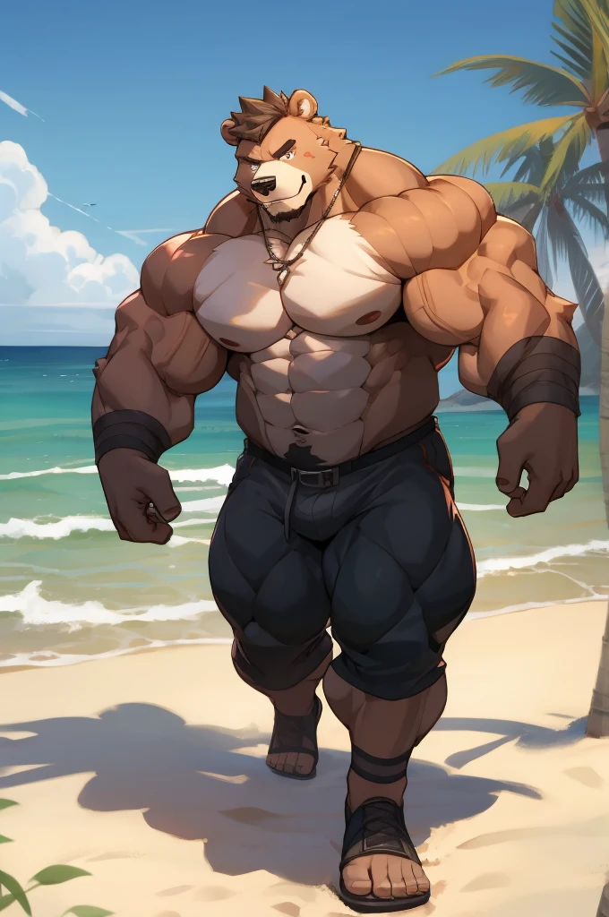 muscular strong bear in beach, only shots