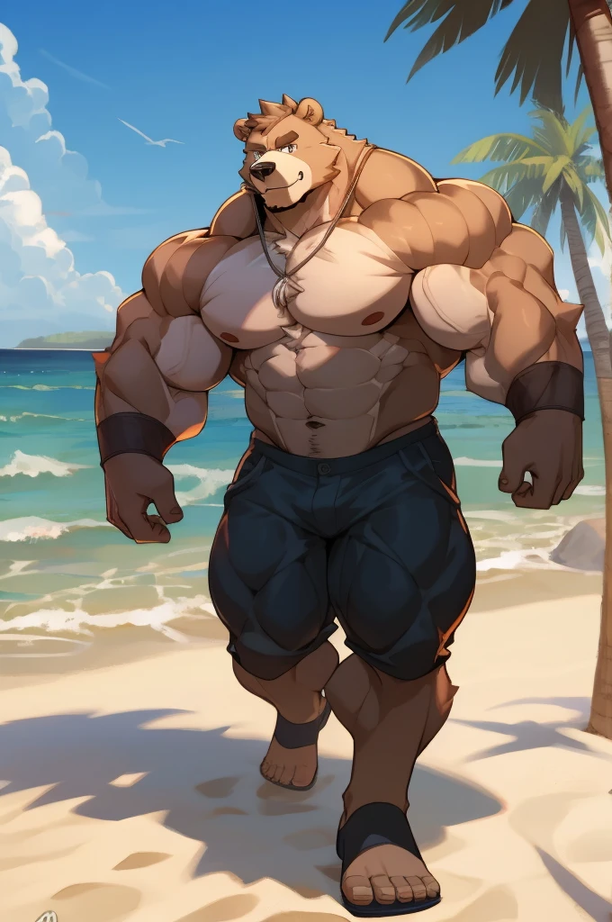 muscular strong bear in beach, only shots