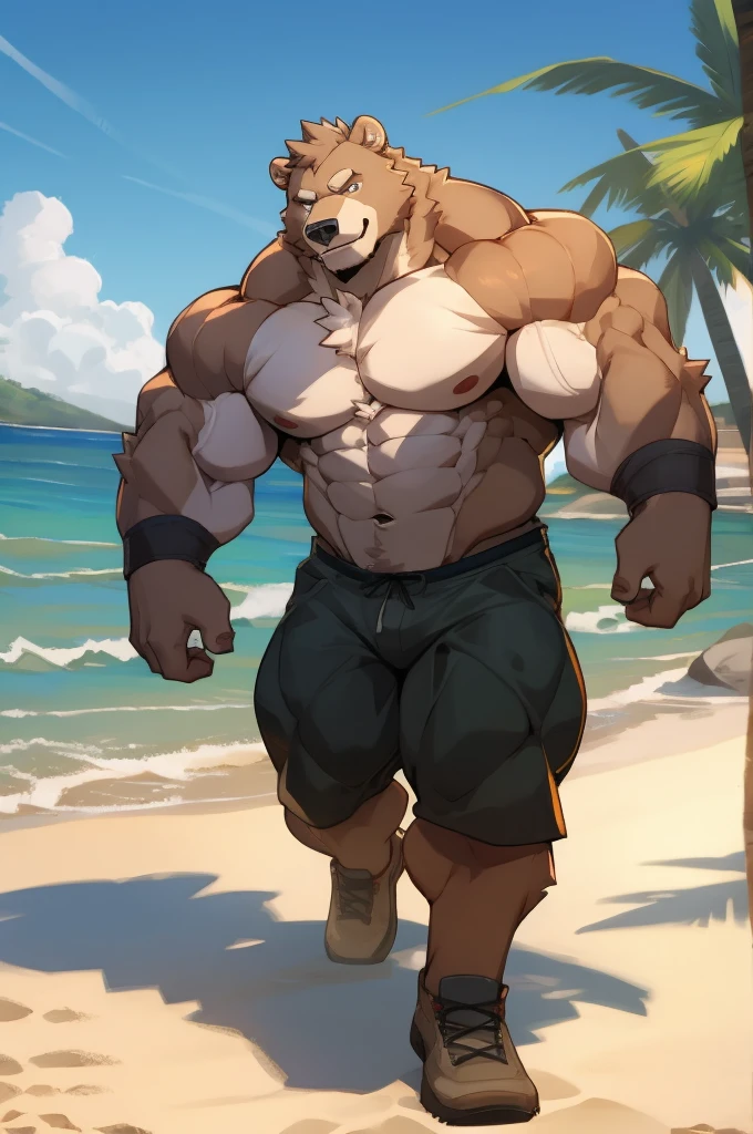 muscular strong grizzly bear in beach, only shots