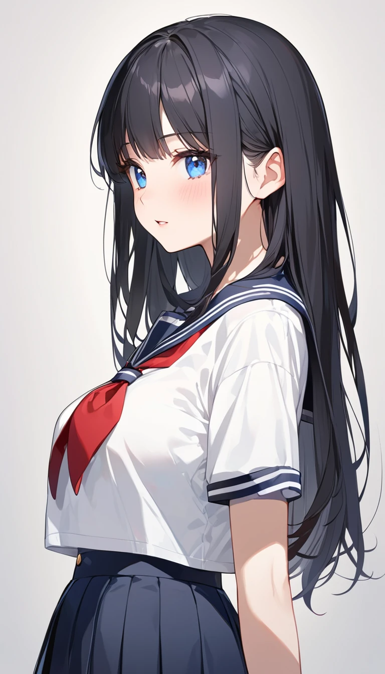 (Highest qualityのイラスト:1.2), (cute***:1.1), (1 girl、************、Highest qualityのイラスト:1.2), (1 girl、Kind eyes、blue eyes:1.2)、Black Hair、Semi-long hair、(Highest quality、Very detailed、cute、Ultra-high resolution) 、High School Uniform｛Sailor suit、Red neckerchief、Short sleeve、Pleated skirt)、Large Breasts、Stylish, from side, whole body