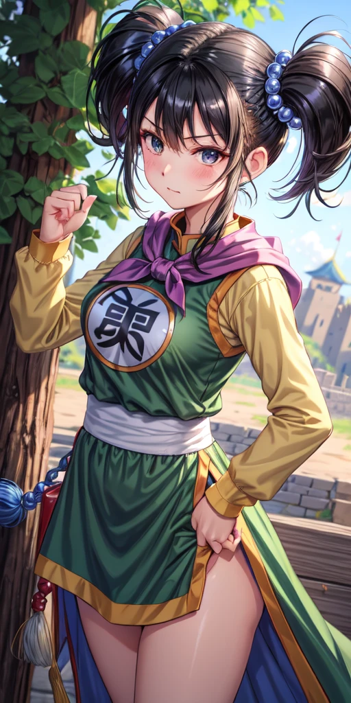 masterpiece, best quality, 4k, 8k, fighter (dq3), 1girl, solo, long hair, twintails, looking at viewer, black hair, hair ornament, long sleeves, dress, medium breasts, closed mouth, cowboy shot, black eyes, chinese clothes, hair bobbles, clenched hand, Punching, Boxing Jab, Feet Apart, Ancient Castle