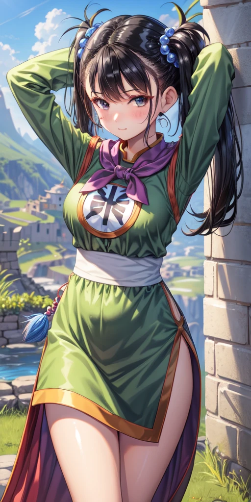 masterpiece, best quality, 4k, 8k, fighter (dq3), 1girl, solo, long hair, twintails, looking at viewer, black hair, hair ornament, long sleeves, dress, medium breasts, closed mouth, cowboy shot, black eyes, chinese clothes, hair bobbles, clenched hand, arms up, Feet Apart, Ancient Castle