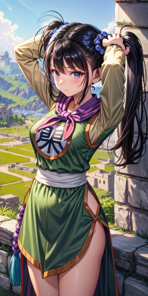 masterpiece, best quality, 4k, 8k, fighter (dq3), 1girl, solo, long hair, twintails, looking at viewer, black hair, hair ornament, long sleeves, dress, medium breasts, closed mouth, cowboy shot, black eyes, chinese clothes, hair bobbles, clenched hand, arms up, Feet Apart, Ancient Castle