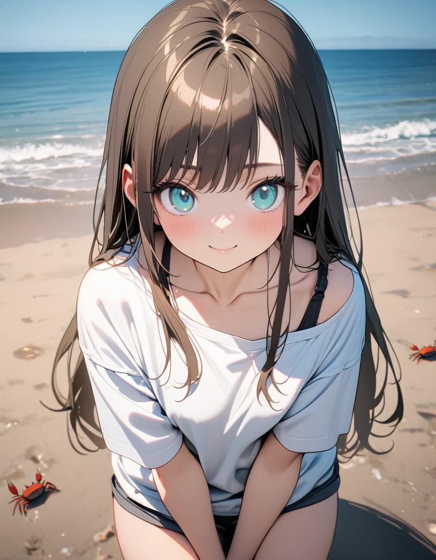 (8K, best quality, master piece: 1.2), super high resolution,1 cute girl,solo,,ultra-detailed face,detailed eyes,aqua eyes,smile,brown hair,Straight hair,Long hair,perfect hands, perfect fingers,Standing,v arms,hand between legs,hot pants,nape collarbone black bra strap,(loose clothes white t-shirt:1.1),Professional lighting,blue sky,Sea side,crabs on the beach,clear water