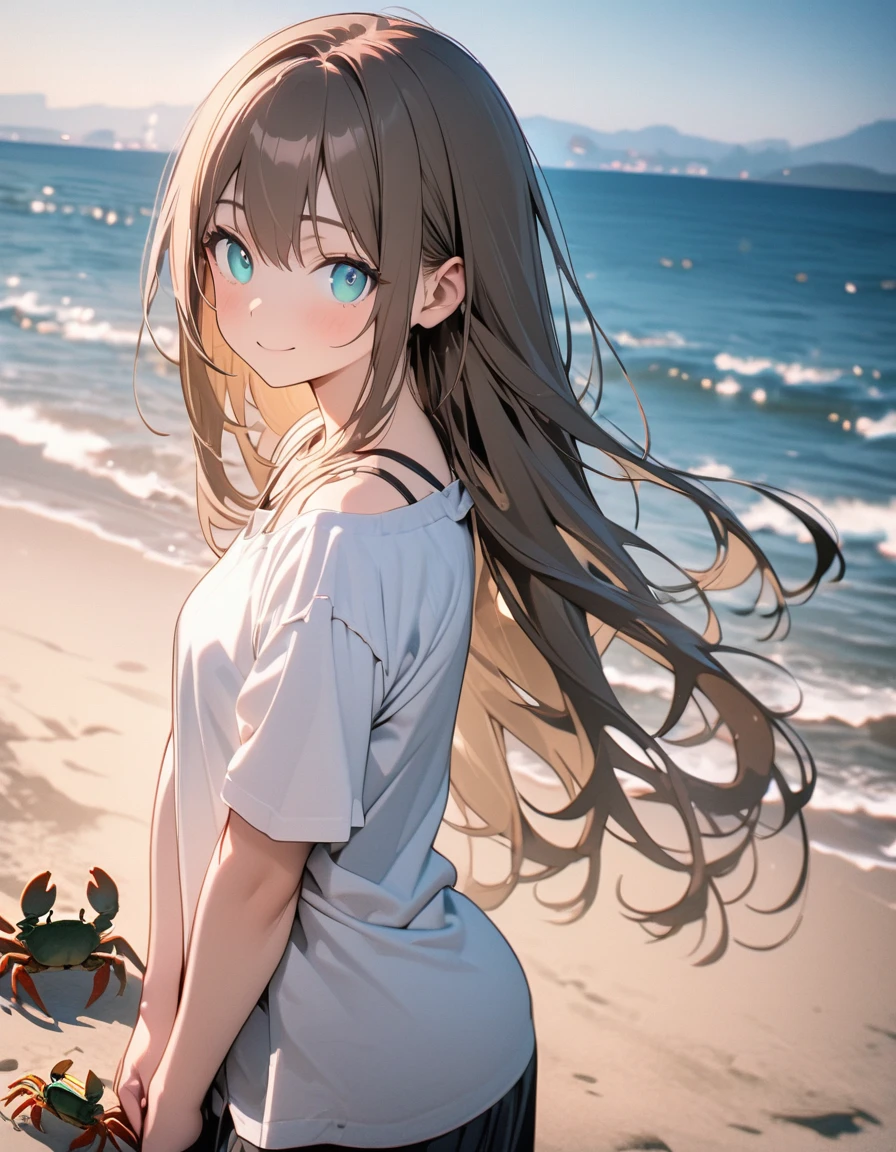 (8K, best quality, master piece: 1.2), super high resolution,1 cute girl,solo,16yo,ultra-detailed face,detailed eyes,aqua eyes,smile,brown hair,Straight hair,Long hair,perfect hands, perfect fingers,Standing,v arms,hands on lap,hot pants,nape collarbone black bra strap,(loose clothes white t-shirt:1.1),Professional lighting,blue sky,Sea side,crabs on the beach,clear water