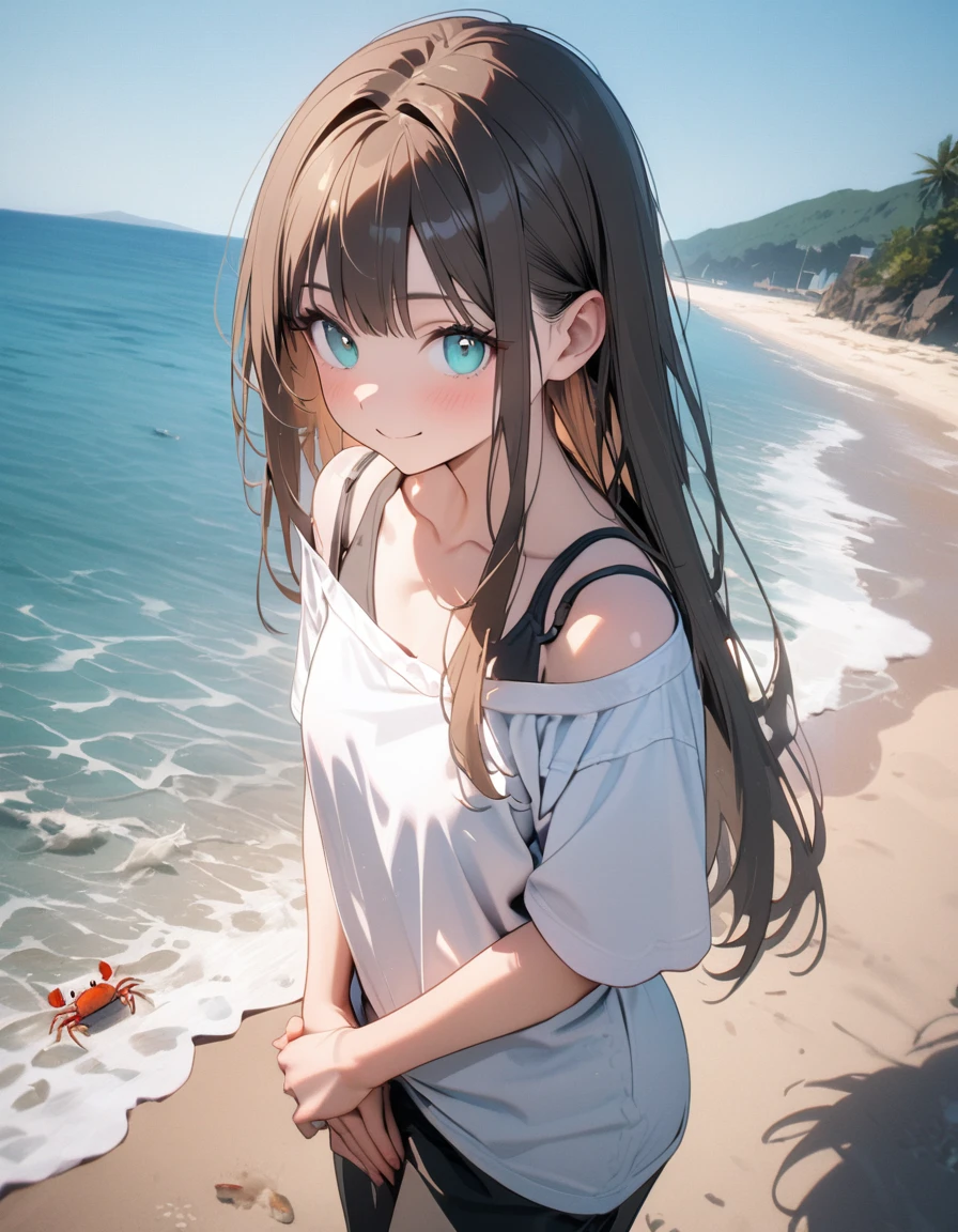 (8K, best quality, master piece: 1.2), super high resolution,1 cute girl,solo,16yo,ultra-detailed face,detailed eyes,aqua eyes,smile,Nose brush,brown hair,Straight hair,Long hair,perfect hands, perfect fingers,Standing,hands on lap,hot pants,nape collarbone black bra strap,(loose clothes white t-shirt:1.1),Professional lighting,blue sky,Sea side,crabs on the beach,clear water