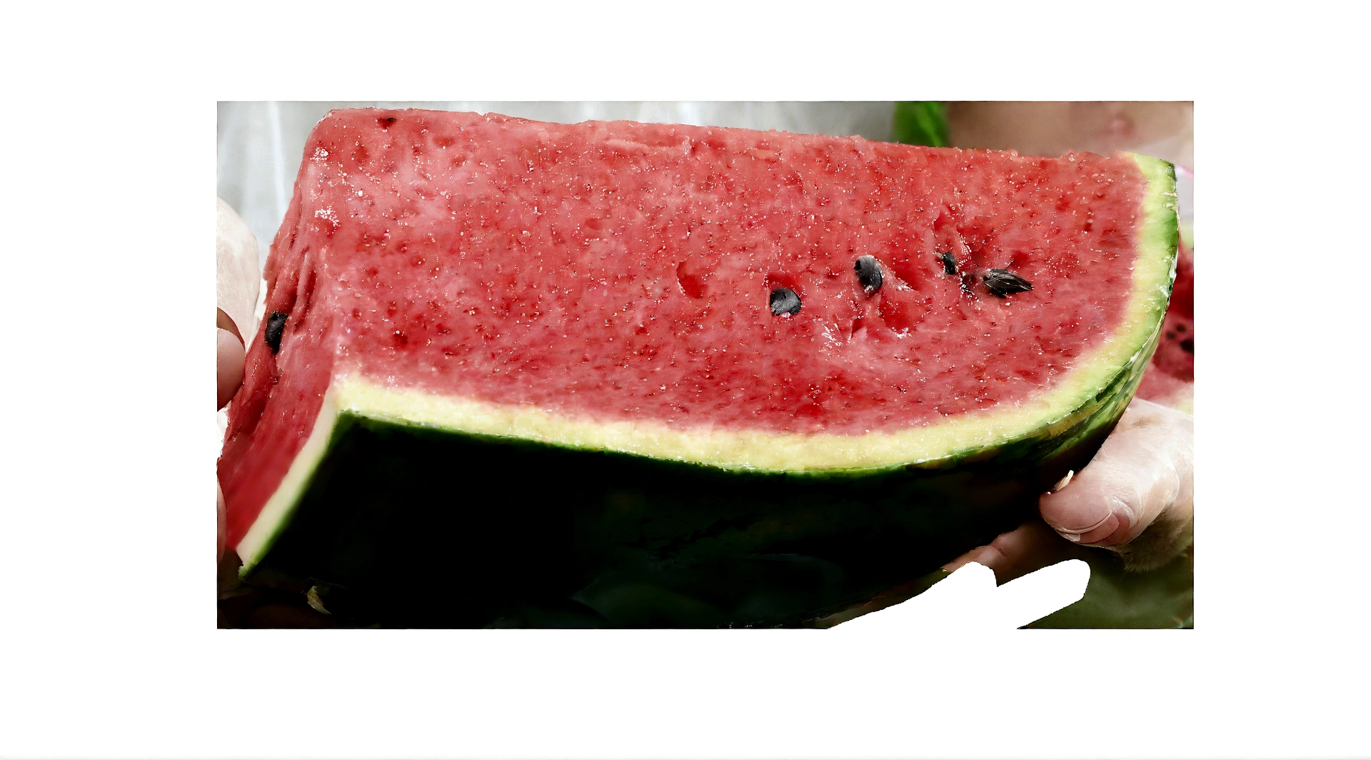 someone is holding a slice of watermelon with a bite taken out of it, watermeloncore, watermelon, gestation inside a watermelon, watermelons, bottom angle, 8/8, 2 0 1 2 watermelon diner, close - up photo, close-up photo, material is!!! watermelon!!!, 1/30, close - up shot