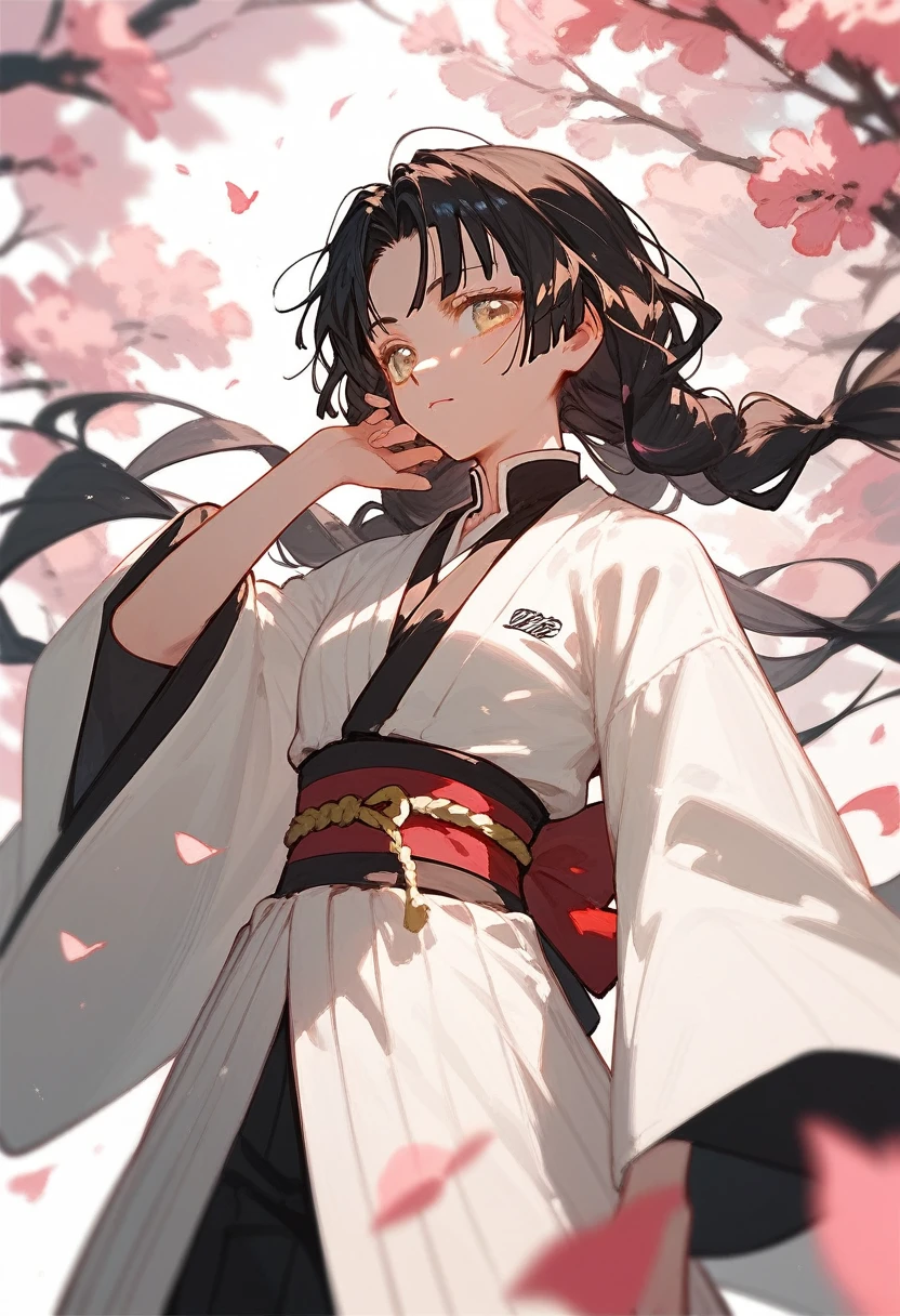 Taisho period、Pale-faced man、disease