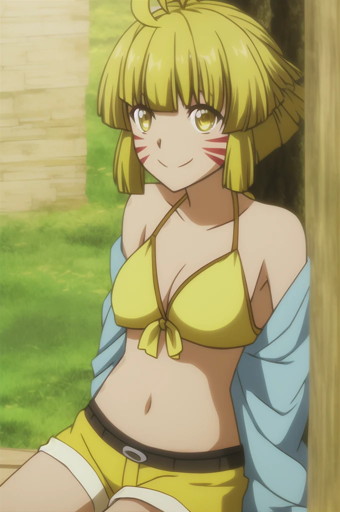 argo, 1girl, solo, breasts, looking_at_viewer, smile, short_hair, blonde_hair, navel, bare_shoulders, brown_eyes, sitting, collarbone, swimsuit, yellow_eyes, upper_body, ahoge, bikini, small_breasts, outdoors, shorts, day, midriff, stomach, flat_chest, tree, crop_top, facial_mark, antenna_hair, yellow_bikini, whisker_markings, yellow_shorts, huge tits