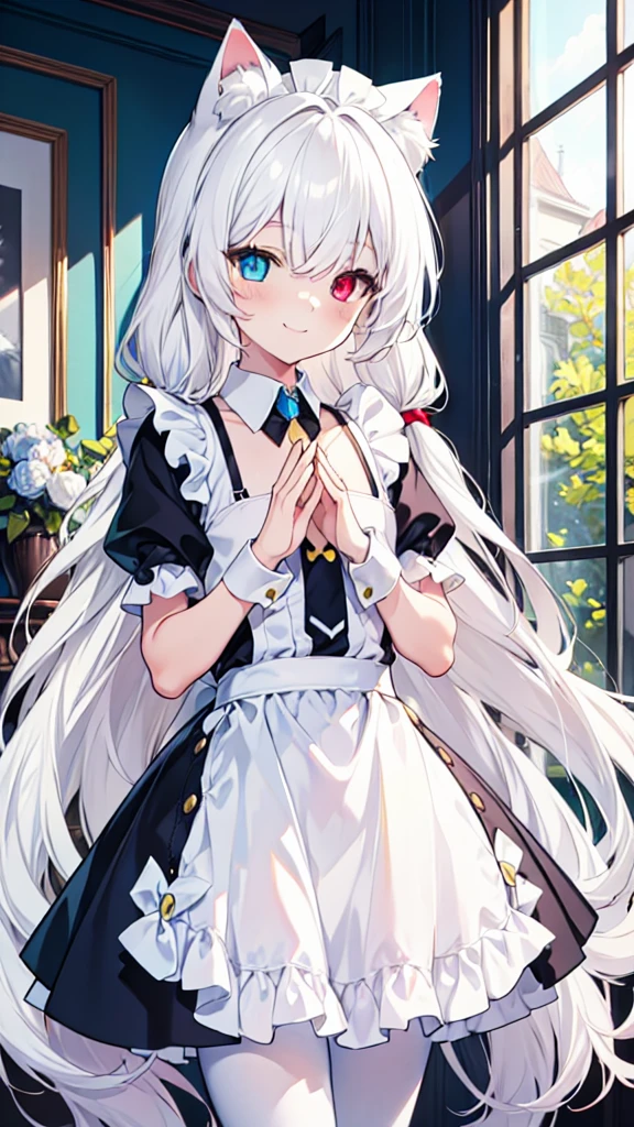 White hair，Cat ear，Long hair，Heterochromia(Left blue right yellow)，Smile，Female face，There are bright spots in the eyes，Female hands，White little hands，Normal fingers，flat chest，Maid costume，White hose，In the room