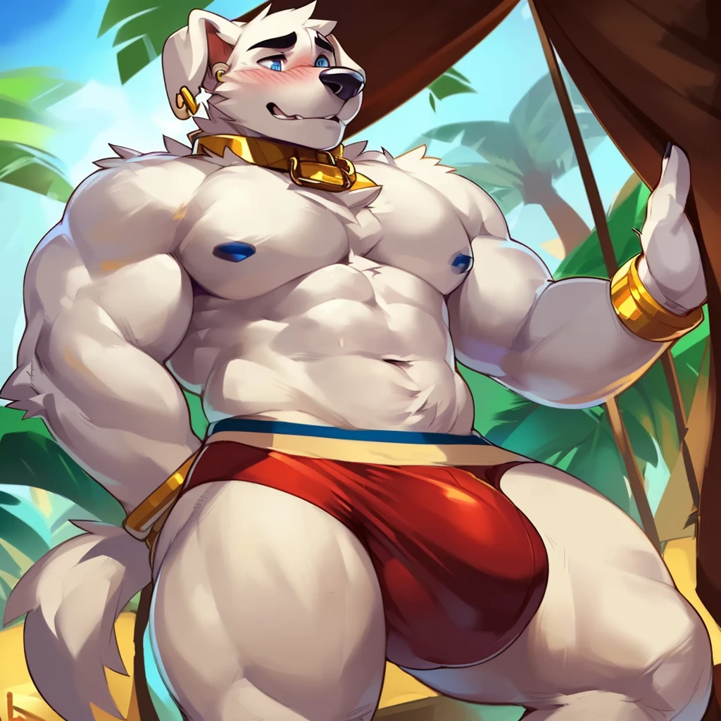 Solo, male (((retriever, muscular, white fur, white body, white fur, black eyebrows, black nose, blue eyes, folded ears, flustered expression, blush, ear piercing, ear ring, golden collar, gold cuffs, thin waist, underwear, big bulge))) standing, 5 fingers, tribal tent ((focus eyes, focus pupils, focus white body, focus white fur, focus 5 fingers, focus golden collar, focus underwear)) full body, perfect anatomy, adult character, by darkgem, by mystikfox61, by glitter trap boy