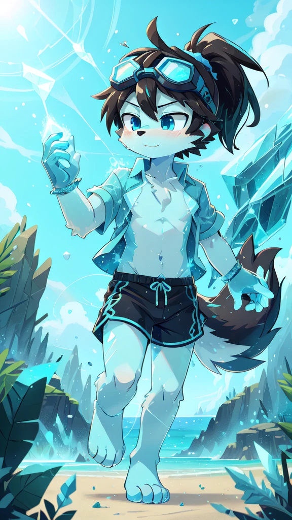 score_9,score_8_up,score_7_up, source_cartoon, source_furry, furry , wolf, black hair, long spiky ponytail, blue eyes, detailed body fur, ((goggles, blue hawaiian shirt, open clothes, black swim trunks)), detailed body fur, detailed face, detailed eyes, glistering body, shiny body, gorgeous body, beach, clear sky, full body, feets with three toes, 3 toes, :3, fight, ice magic, ice particles, ice creation magic, ice magic on palm hand, sassy face,