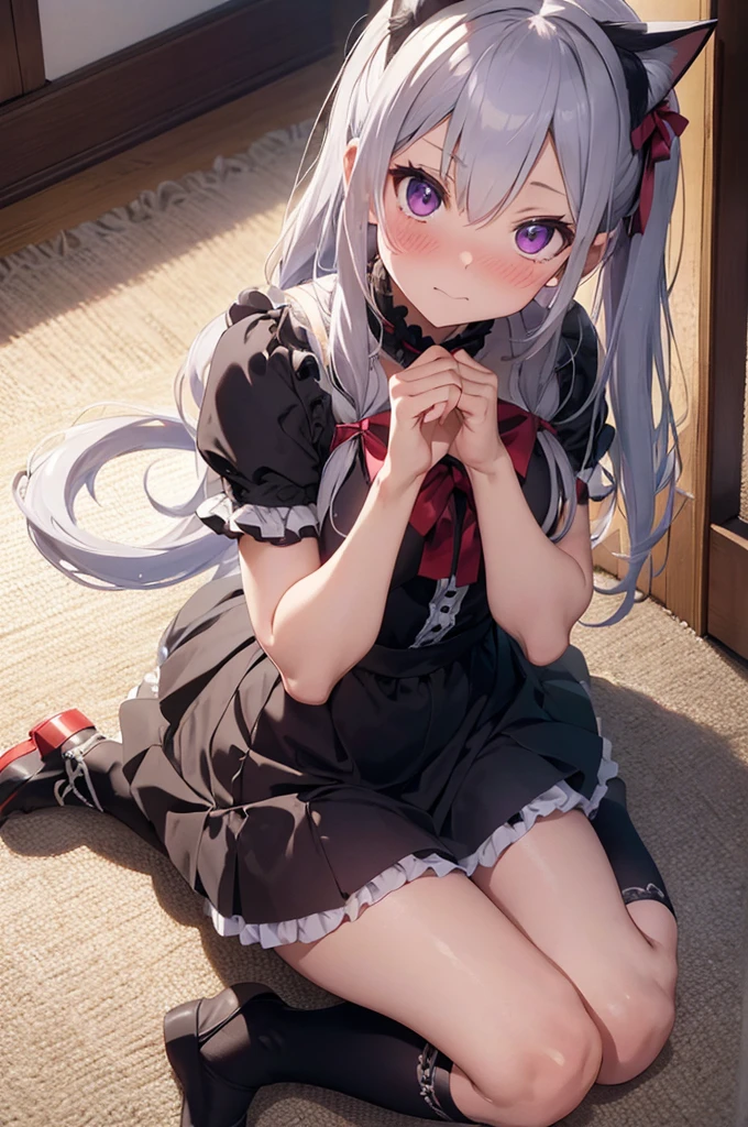 16k, highres, masterpiece, best quality,
cinematic photo,
a cute girl, sitting on back , (wariza, paw pose:1.2), red carpet, sunlight from window, pink lace curtains, indoors,
straight-on, (full body, looking up, looking at viewer, from above:1.2), (perspective:1.4),
BREAK
Kazami kazuki, silver hair, long hair, purple eyes, (nose blush, humiliation:1.1), embarrassed, chagrined, luxury gothic girly dress, glossy white dress, detailed cute dress, miniskirt, detailed embroidery, (frills:1.2), (bow:1.1), thighhighs, zettai ryouiki, fake animal ears, cat ears, cat tail,
,
35mm photograph, film, bokeh, professional, 4k, highly detailed,