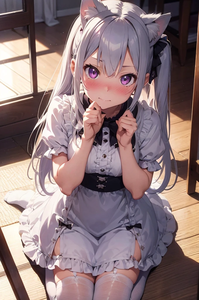 16k, highres, masterpiece, best quality,
cinematic photo,
a cute girl, sitting on back , (wariza, paw pose:1.2), red carpet, sunlight from window, pink lace curtains, indoors,
straight-on, (full body, looking up, looking at viewer, from above:1.2), (perspective:1.4),
BREAK
Kazami kazuki, silver hair, long hair, purple eyes, (nose blush, humiliation:1.1), embarrassed, chagrined, luxury gothic girly dress, glossy white dress, detailed cute dress, miniskirt, detailed embroidery, (frills:1.2), (bow:1.1), thighhighs, zettai ryouiki, fake animal ears, cat ears, cat tail,
,
35mm photograph, film, bokeh, professional, 4k, highly detailed,