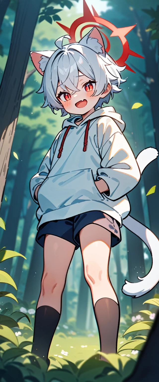 （masterpiece：1.2，high quality），8K，High resolution，A -year-boy，c boy，white hair，short hair，crossed bangs，red eyes，slit pupils， ahoge，cat ears，laughing，skin fang，red halo，Wearing a white hoodie，Dark blue shorts，Stand in the forest，There are flowering trees on both sides.，primary scho，cat tail，（Put your hands in your pockets），（（Put your hands in your pockets））