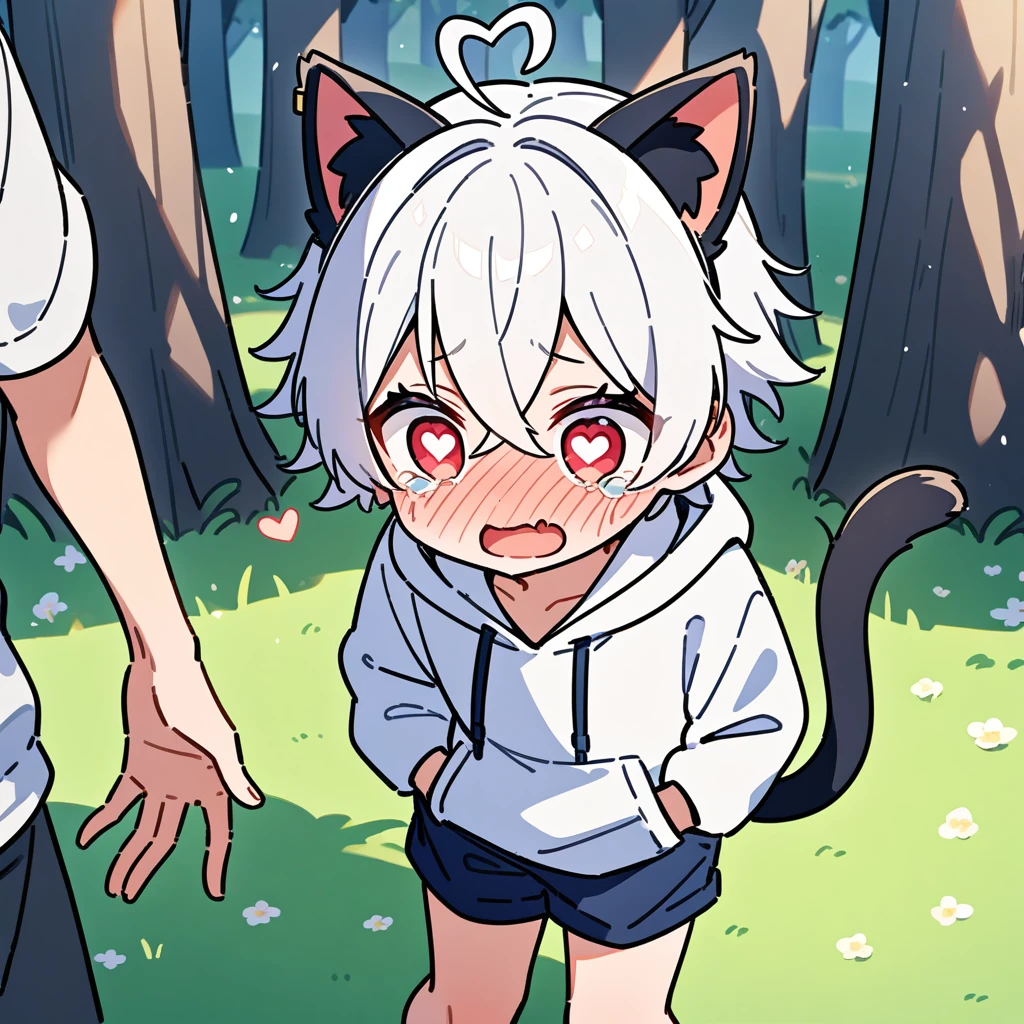 (masterpiece:1.2,high quality),8K,High resolution,A seven-year-old boy,cute boy,white hair,short hair,crossed bangs,red eyes,((heart-shaped pupils)),heart-shaped eyes,heart ahoge,(black ears),black cat ears,full-face blush,tears,skin fang,Halation,Wearing a white hoodie,Dark blue shorts,Stand in the forest,There are flowering trees on both sides.,primary school student,thigh,alone,cat tail,(Put your hands in your pockets)
