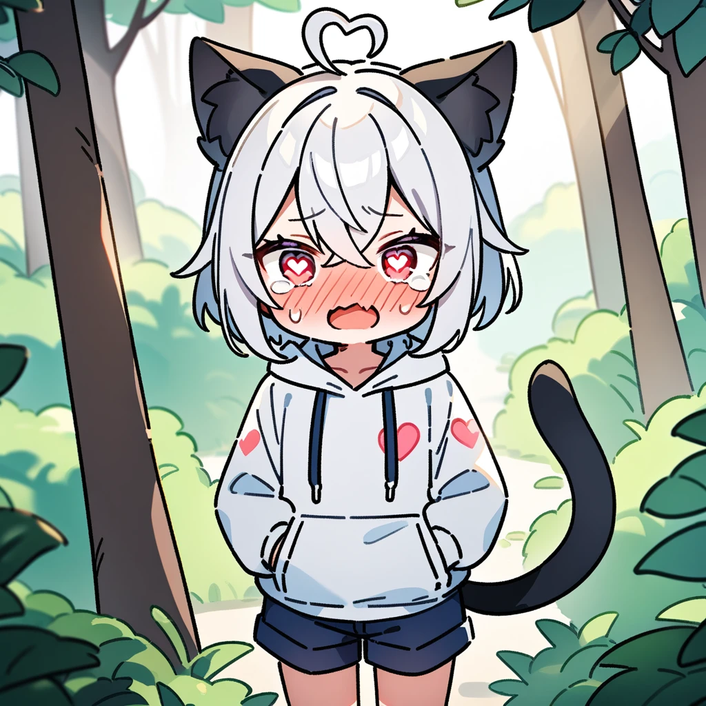 （masterpiece：1.2，high quality），8K，High resolution，A seven-year-old boy，cute boy，white hair，short hair，crossed bangs，red eyes，（（heart-shaped pupils）），heart-shaped eyes，heart ahoge，（black ears），black cat ears，full-face blush，tears，skin fang，Halation，Wearing a white hoodie，Dark blue shorts，Stand in the forest，There are flowering trees on both sides.，primary school student，thigh，alone，cat tail，（Put your hands in your pockets）